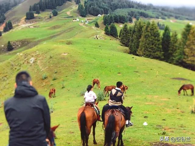 香港游客扎堆阿勒泰：不滑雪不打卡不住冰雪民宿，他们到底想干啥