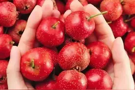 邻居喝了20年的山楂茶配方，6种搭配解决积食失眠眼疲劳图片