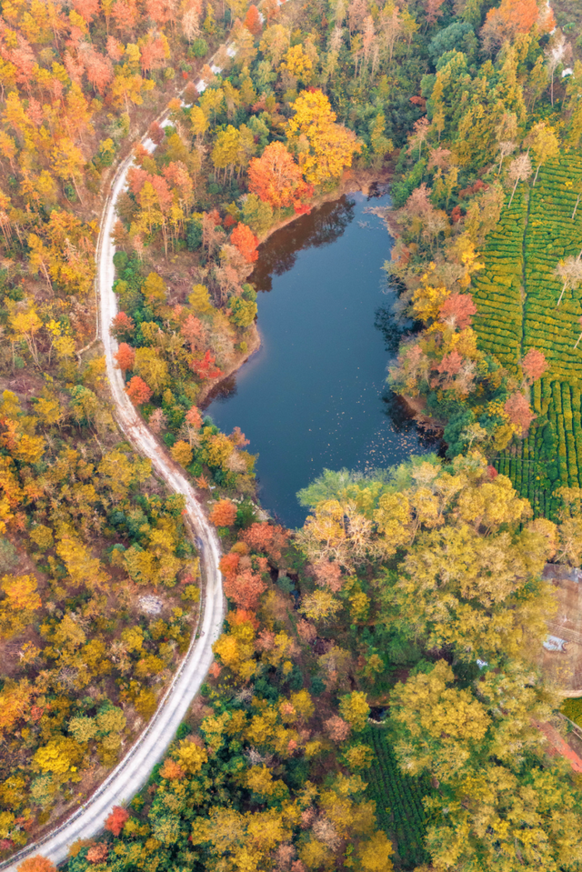 黄陂秋日文艺之旅 | 玩出“文艺范天花板”！