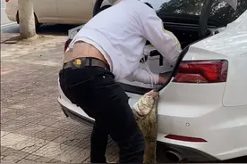 浙江一男子钓获大鳜鱼，把鱼挂车尾慢慢开回家，这次被他装到了图片