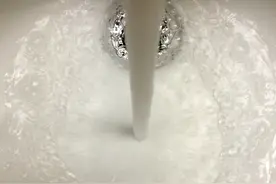 淘米水能浇君子兰吗？很多人都做错了！图片