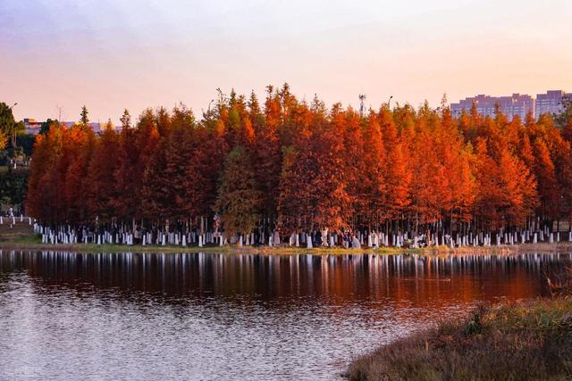 11月-12月，深秋时节，适合去赏秋的7个城市，秋景密集，景观多样