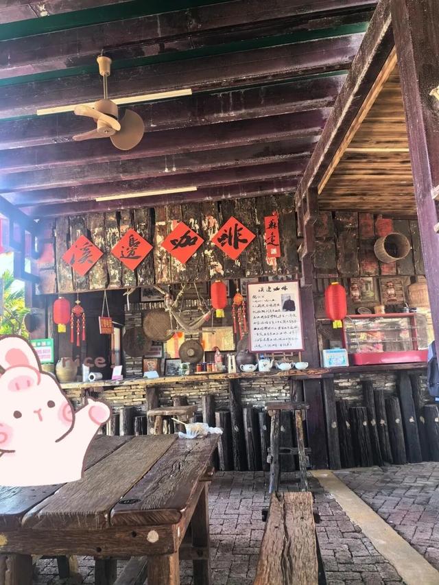 万宁溪边村：邂逅三角梅下的书香悠闲时光