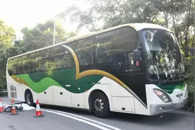 广东一女子在香港骑行遭遇车祸身亡！涉事司机已被捕图片