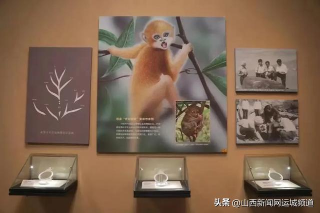 你可能不认识我,但你我一定有关!