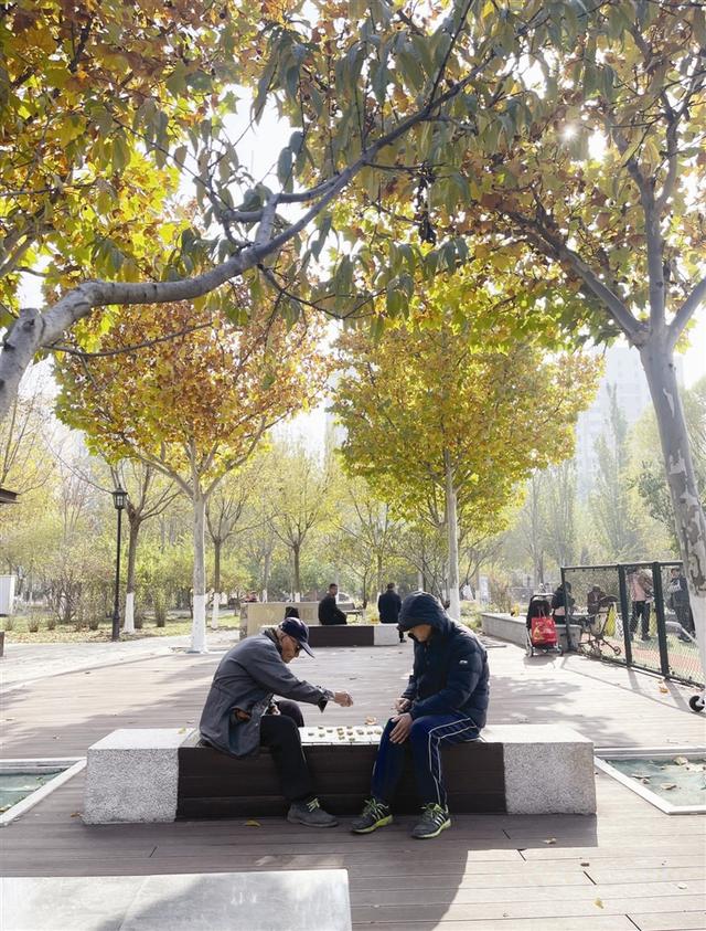 “叶”色正美 导航“津”秋 探寻浪漫滤镜里的街巷园区