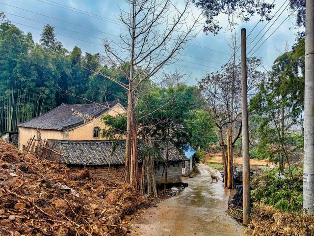 图说灌阳：山背后