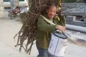 自古未闻粪有税，而今只剩屁无捐 拾柴火也要遭受罚款图片