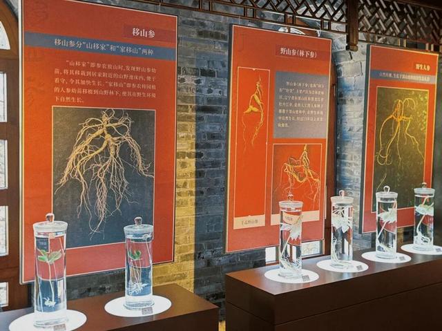 听劝！冬季的吉林市，闭眼冲就对了！