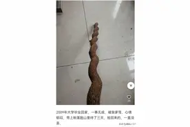 你捡过什么奇葩的东西？图片