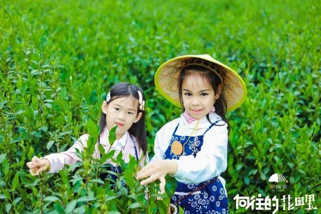 这届春假，临安申请出战！