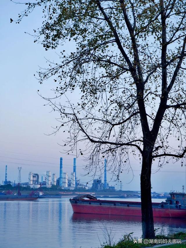 0.5H直达长株潭私藏“小白洋淀”，荻花摇曳处解锁老船厂遛娃秘境！