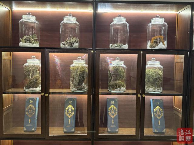 罗浮山温泉入选四川冬季旅游线路 非遗藏药浴成康养新亮点