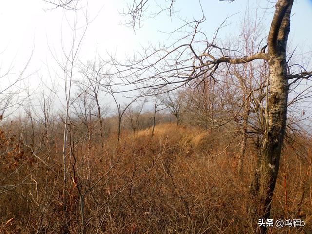 明长城本溪段全程探寻