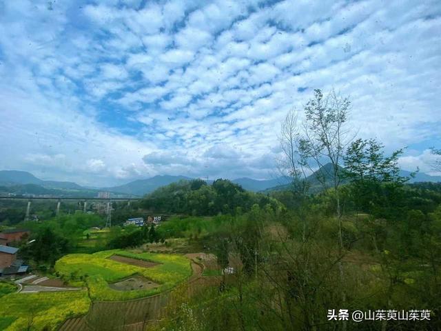 2023年春重庆探亲游（上篇）