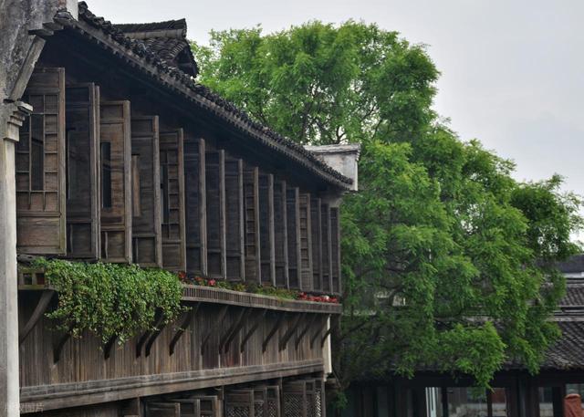 强烈建议！4 月一定要去一次乌镇！不愧是中国必看水乡之一！