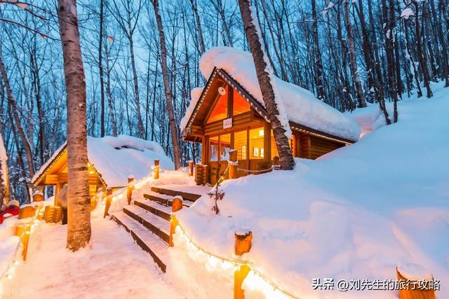 2025冬季旅行目的地推荐，浪漫冰雪、阳光海滩，总有一款治愈你！