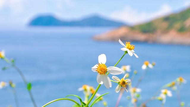 热爱生活的人，眼里都是美景