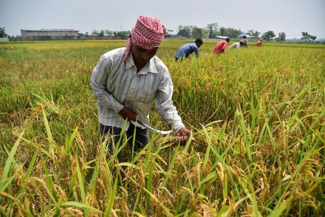 不想再活在中国的阴影下，印度一口气批了4000亿，准备赌一把大的