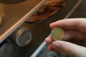 出远门前，一定要在冰箱里放一枚硬币，关键时刻能救命，涨知识图片