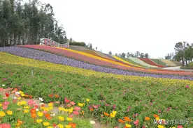 漳州五一必去十大景点，漳州春游好去处推荐图片