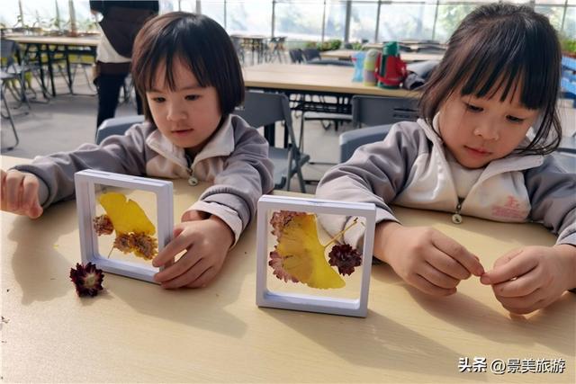 岭南冬如春，童趣蝶翩跹，学子来到佛山卡玛花世界开启蝴蝶研学