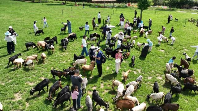 告别人挤人！花海、古寺、采摘……就去昆明周边这个“宝藏地”→