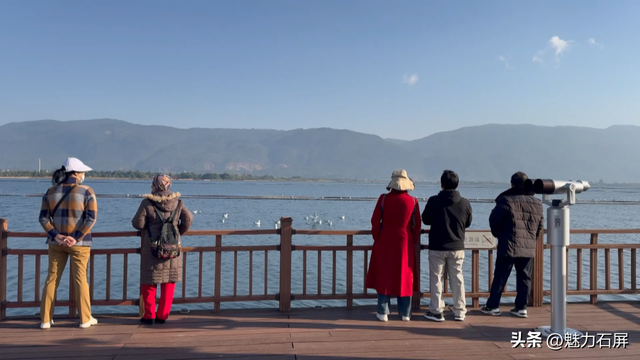 跨越山海的生态之约 奏响人与自然和谐乐章