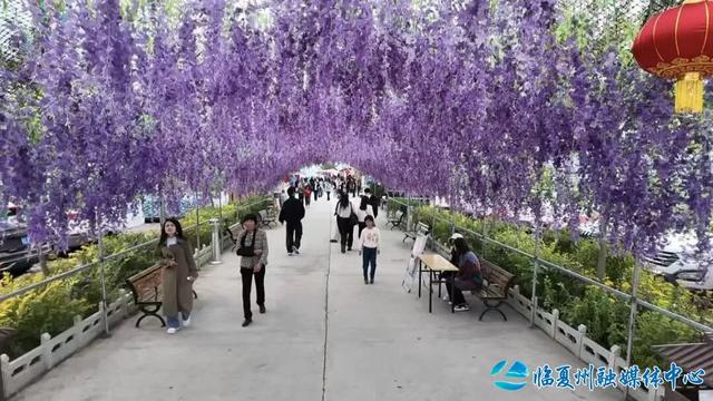 秋染东乡如画 客聚水岸寻味