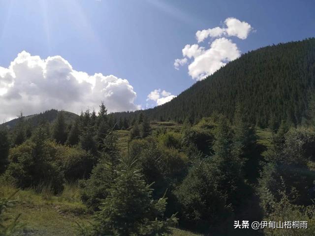 新疆之旅（六）：美丽的巴音那木