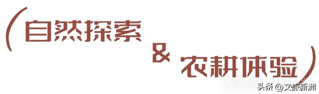 收藏秋日宝藏学玩地图!趣游新洲,为知识充“秋”电
