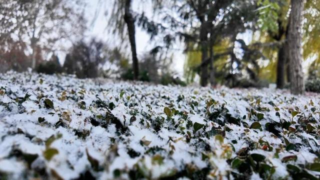 广饶今冬初雪，如约而至！太梦幻了！