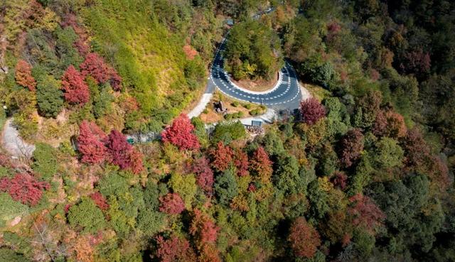 骑行赏枫、古村寻秋……被祁门的「枫景」治愈啦！| 皖美秋日