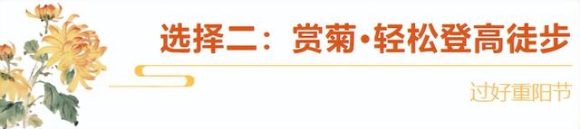 重阳节，在临沂这样过——9.9元景区特惠、赏菊、登高、祈福……