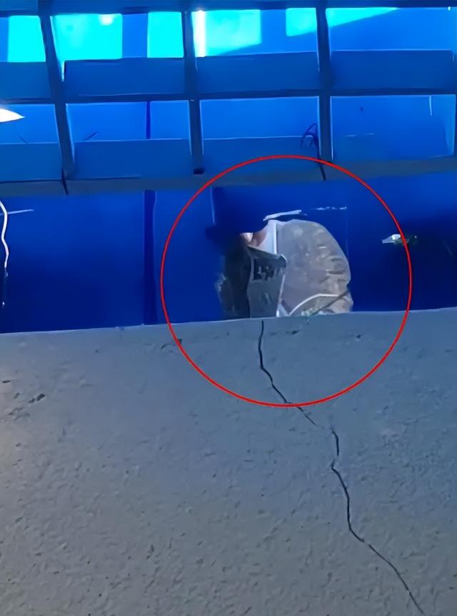 “去趟水上乐园，中招妇科病”：水上乐园的水有多脏？