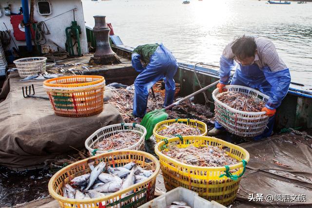 这才是嵊泗秋日最美画卷。嵊泗游子看了就想买票回岛！