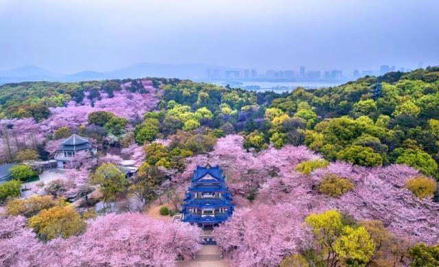 三月的中国，承包了世界所有的春日浪漫