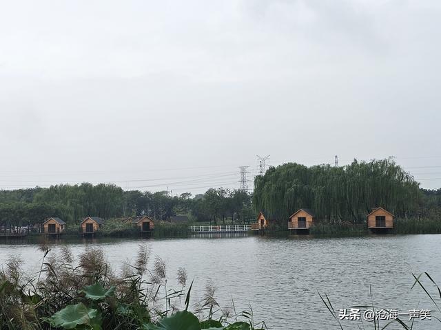 梅湖，散步休闲的去处，露营聊天的基地，人生得意须尽欢！