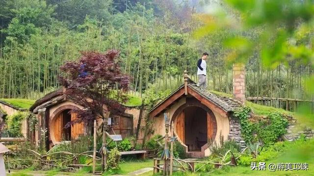 天台后山·山野萤光音乐季活动即将启幕，邀你共赴一场美好的旅程