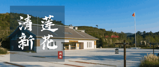 莲花好所在 | 一处自然与艺术交融的佳境，一座令人陶醉的山岳之地→