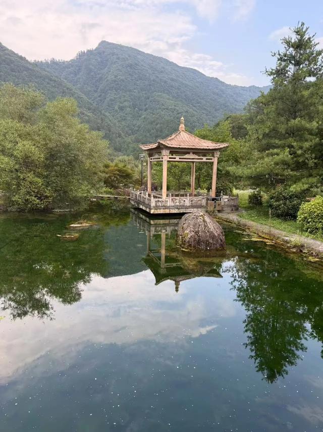 林壑听涛逢旧雨 溪声松语话流年