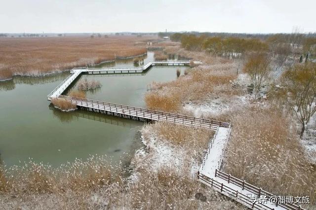 实拍!雪后淄博,秒变水墨仙境!这般古韵浪漫,怎能不心动🤩
