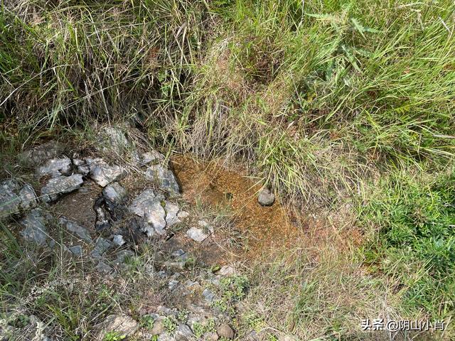 达茂旗达尔罕、百灵庙、乌克忽洞，固阳银号、忽鸡沟田野考察笔记
