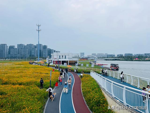 杭州超绝“波斯菊花海”来了，拍照遛娃露营齐全，地铁直达且免费
