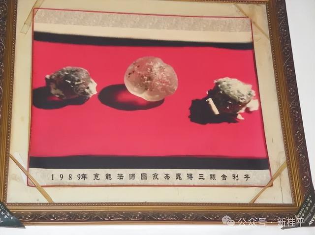 桂平半程马拉松选手看过来！文旅福利已就位，三大景点等你打卡～