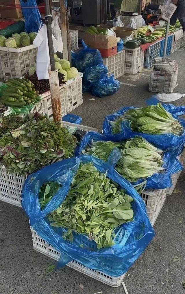 “寻味”巴士穿梭长三角，风靡沪上的“买菜团”究竟有啥魔力？
