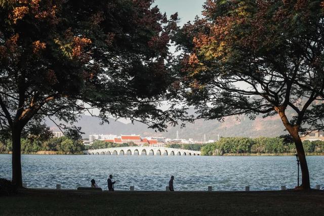 冬日暖阳里，来丰泽这儿享受惬意时光……