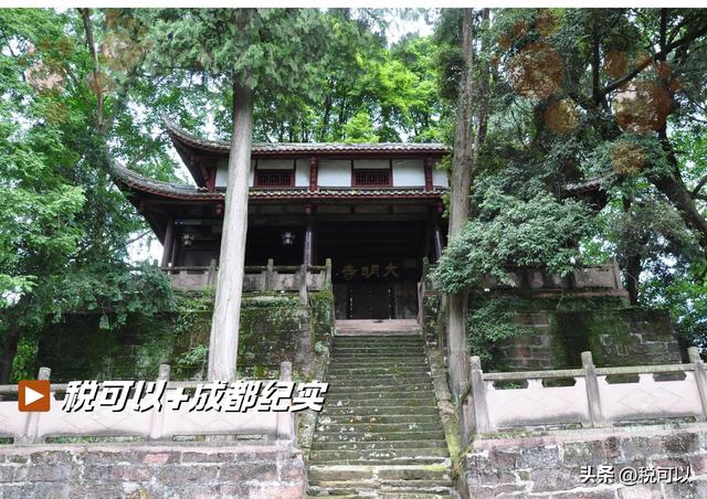 走进崇州大明寺，被两棵1500岁的楠树震撼到了！