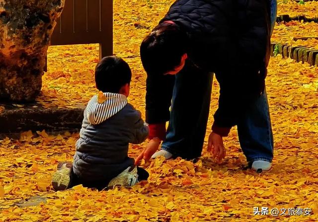 暖到了!身为“高冷古建”的岱庙,背地里在帮大家找回童年?