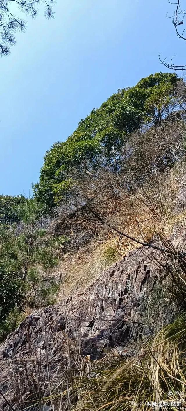 探秘楠溪江源头之三——初探这片鲜为人知的原始森林